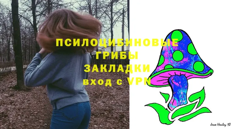 Галлюциногенные грибы Magic Shrooms  Буинск 